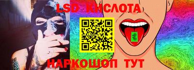 apvp Гатчина