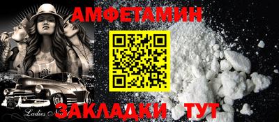 apvp Гатчина
