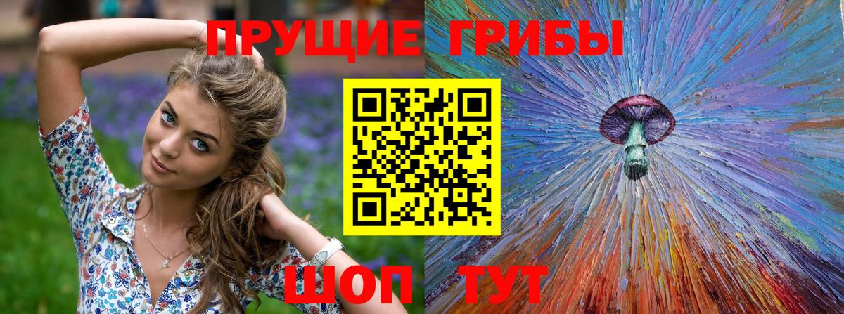 Мариинск  Псилоцибиновые грибы MAGIC MUSHROOMS  цены   Вход с VPN 